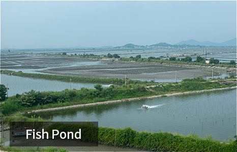 Лучшие наружные камеры 4G для охраны водоемов