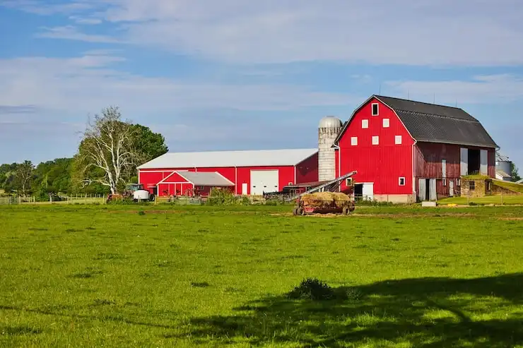 Ls Vision Farm And Agricultural Monitoring