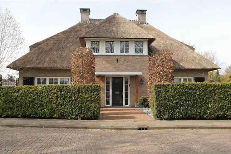 Ls Vision Residential Use